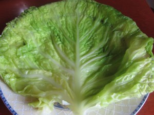 foglia-di-verza