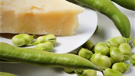 Fave e Pecorino Romano del LAzio